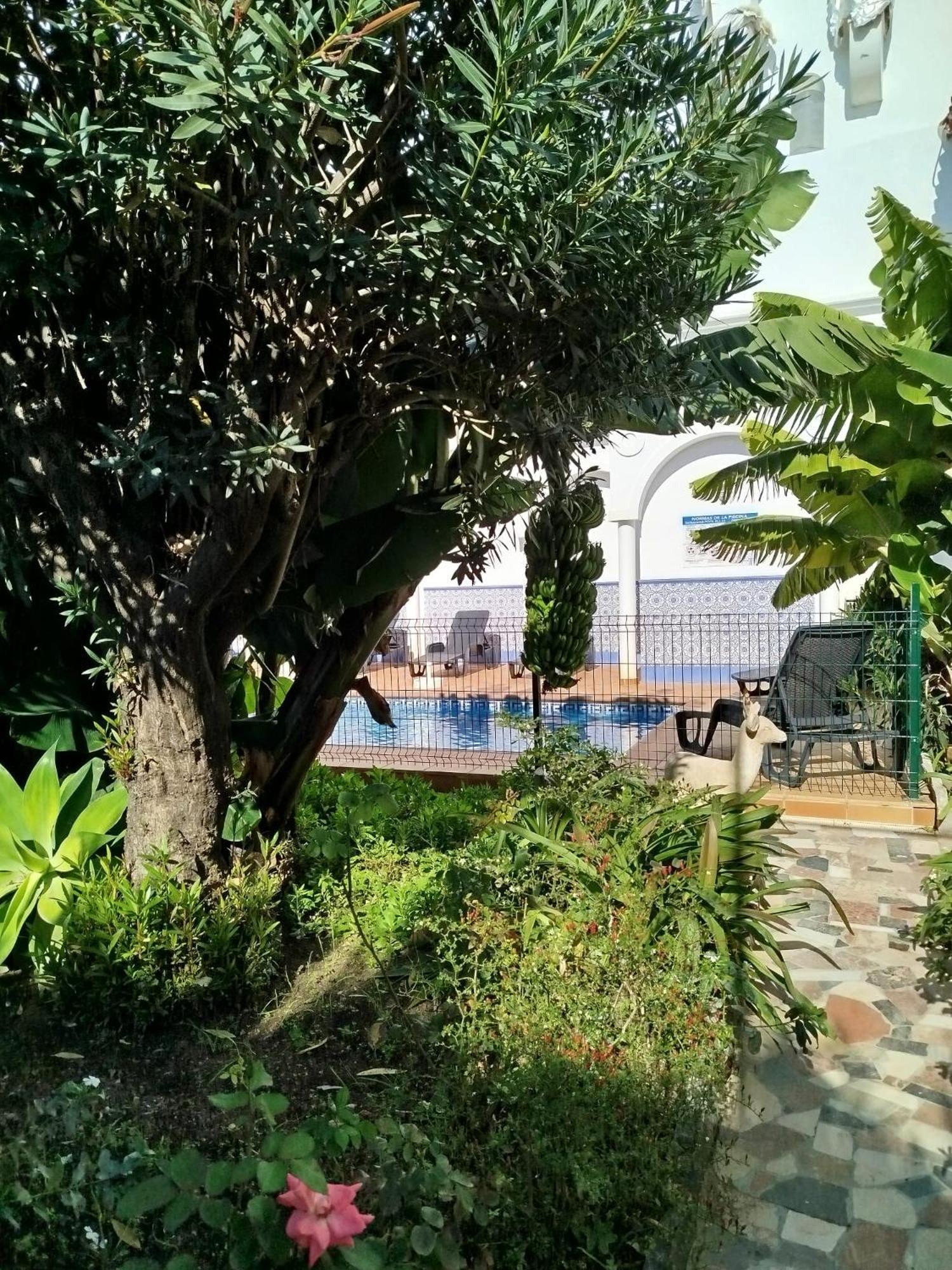 El Jardin Benerja Apartment Luaran gambar